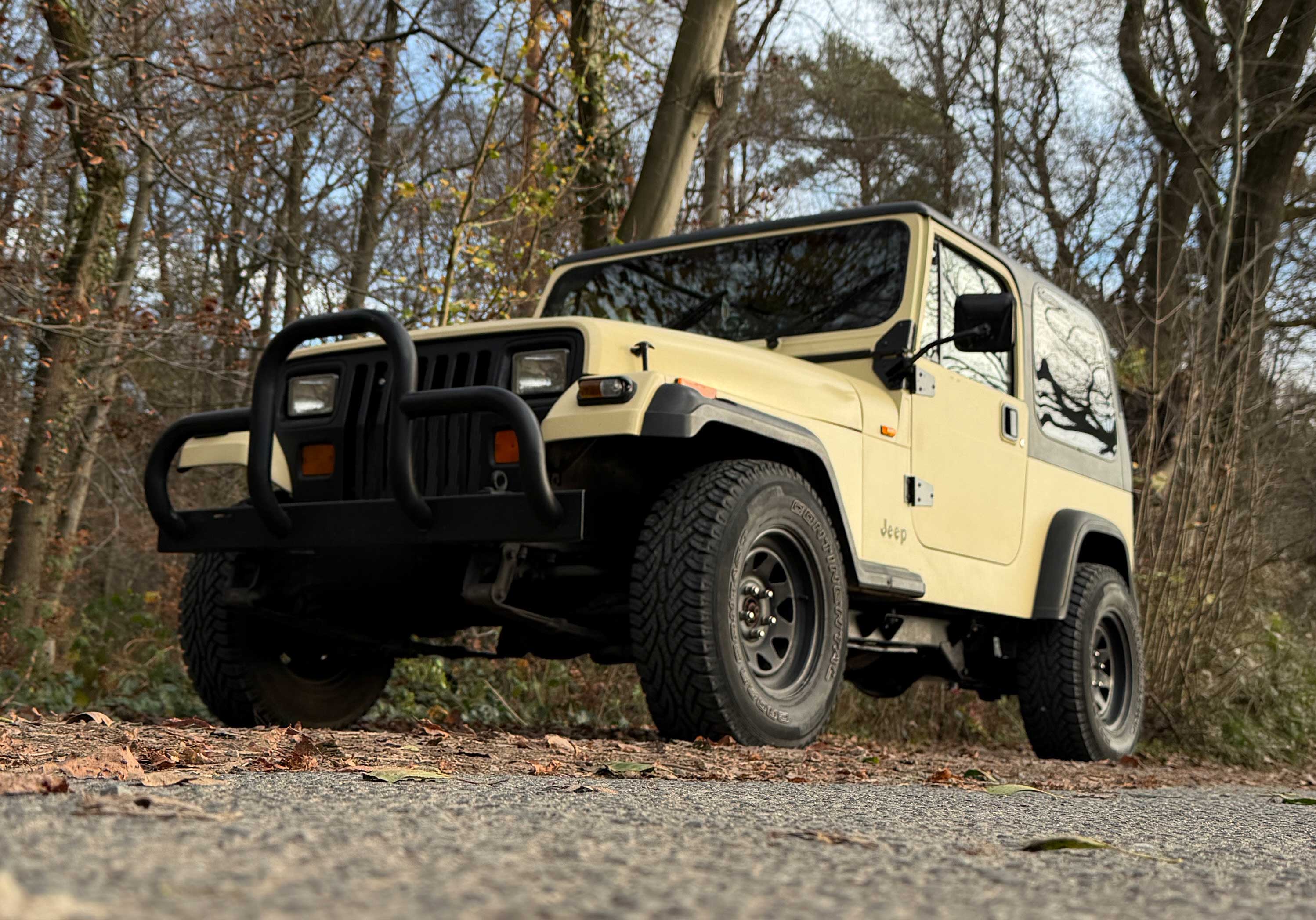 Beiger Jeep mit großem schwarzem Schutzbügel an einer Waldstraße bei Herbstlaub.